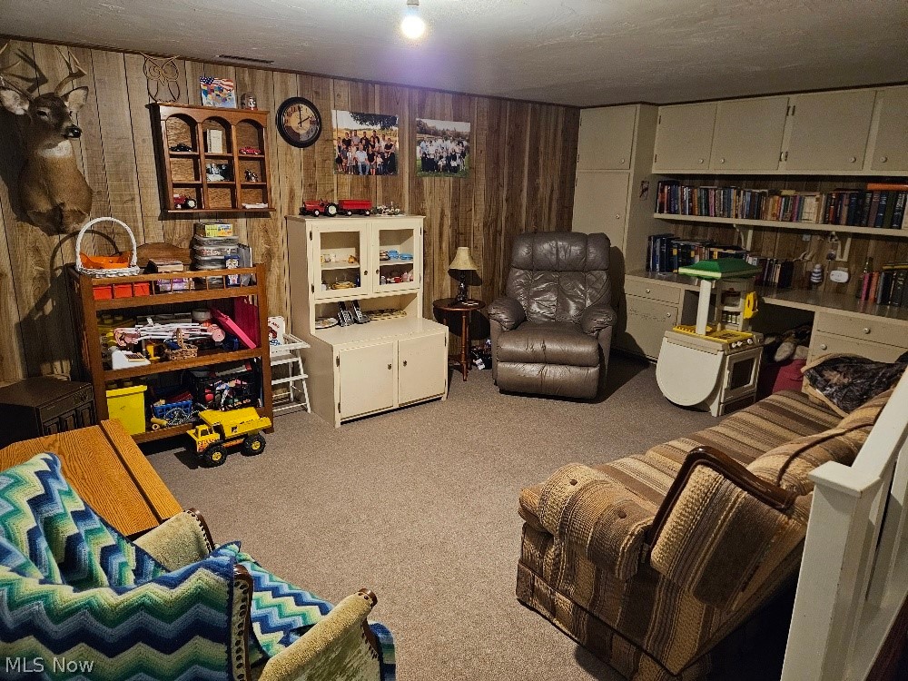 8672 Bayard Road Minerva OH 44657
