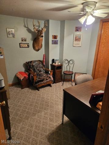8672 Bayard Road Minerva OH 44657