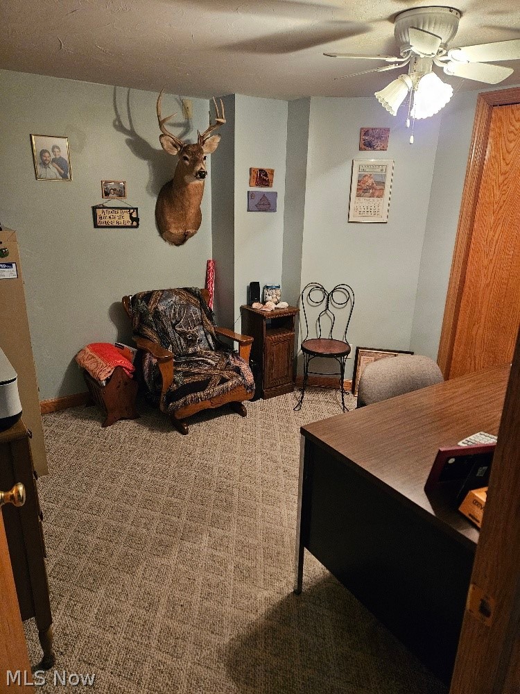 8672 Bayard Road Minerva OH 44657