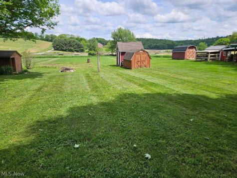 8672 Bayard Road Minerva OH 44657