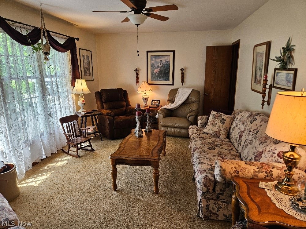 8672 Bayard Road Minerva OH 44657