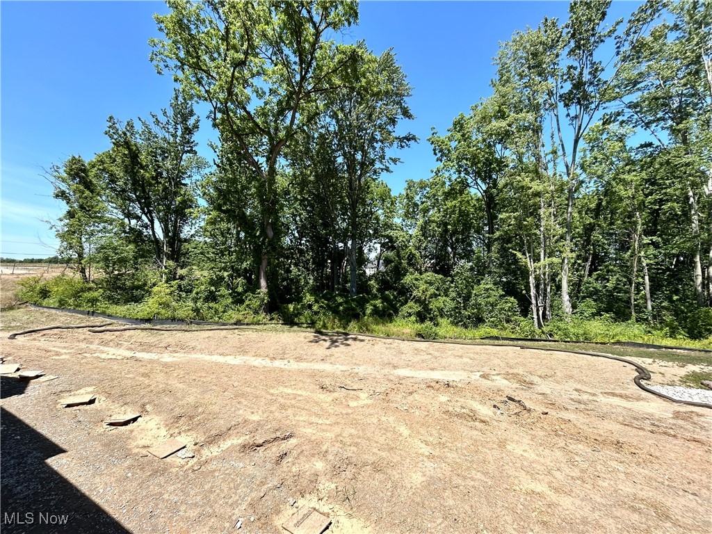 421 Bordeaux Boulevard Broadview Heights OH 44147