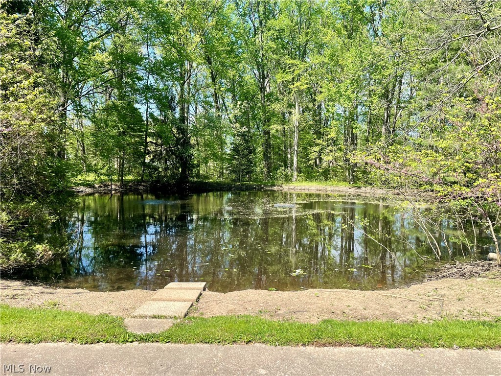 9251 Boyer Lane Kirtland Hills OH 44060