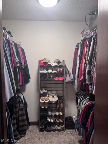 7807 Arbon Drive Millersburg OH 44654