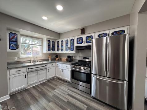 1096 Birch Lane Cleveland OH 44109