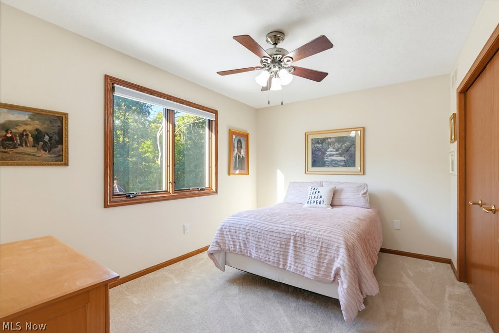 1154 Park Ledge Drive Macedonia OH 44056