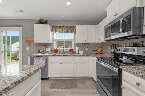 203 Hidden Cove Amherst OH 44001