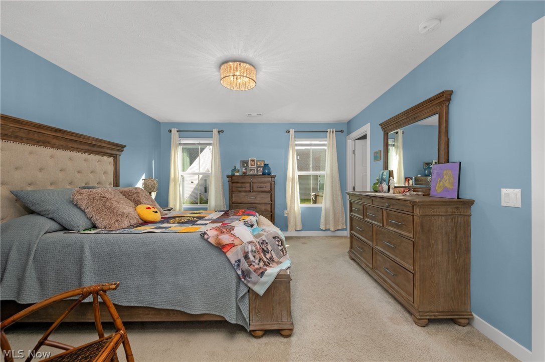 203 Hidden Cove Amherst OH 44001