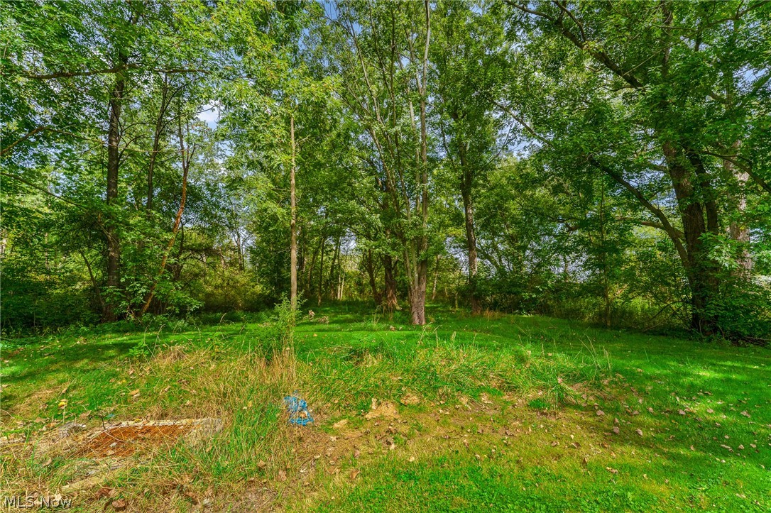 13597 Woodworth Road New Springfield OH 44443