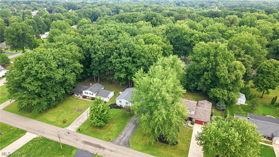 1159 Timbercrest Youngstown OH 44505