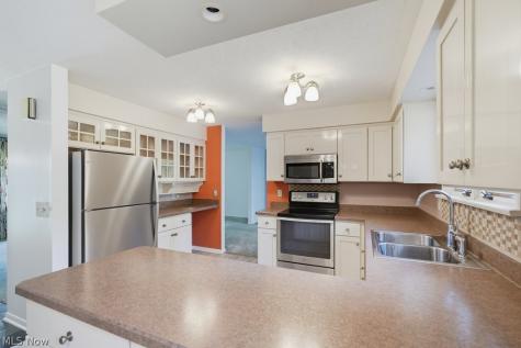 9110 Idlewood Drive Mentor OH 44060