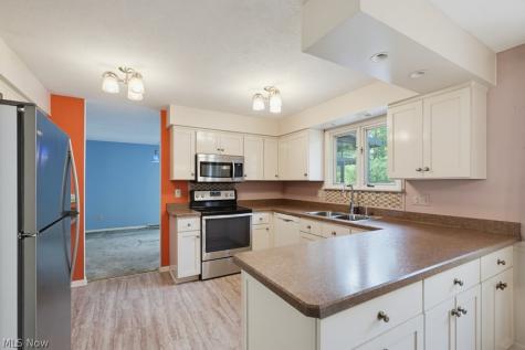 9110 Idlewood Drive Mentor OH 44060