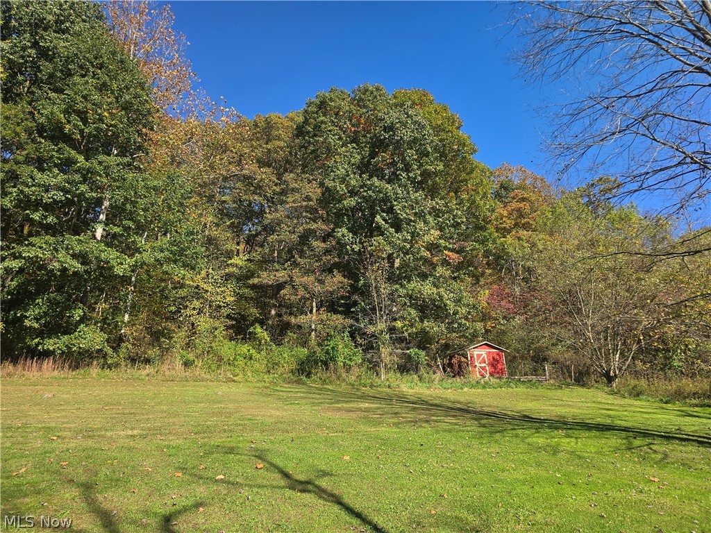 49410 Pioneer Road Negley OH 44441