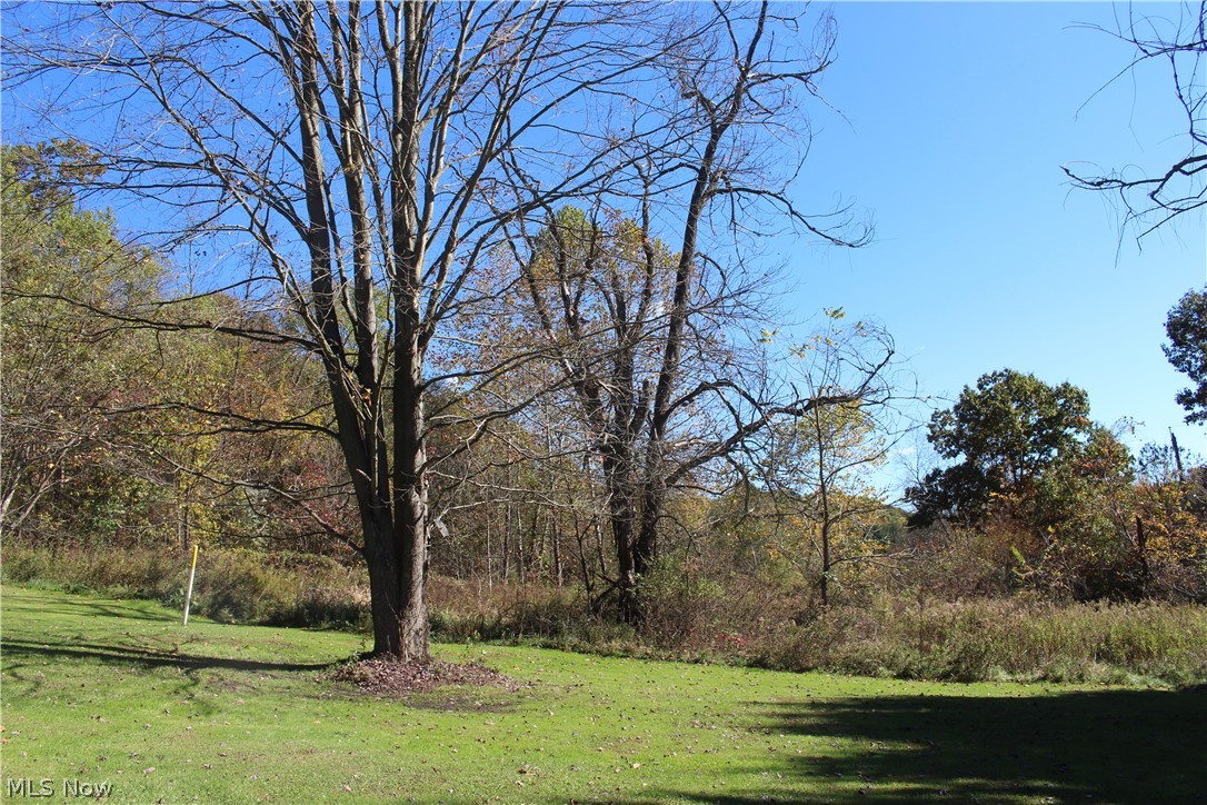 49410 Pioneer Road Negley OH 44441