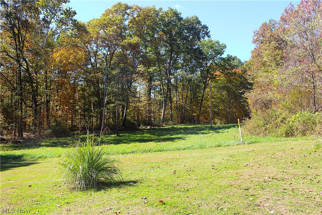 49410 Pioneer Road Negley OH 44441