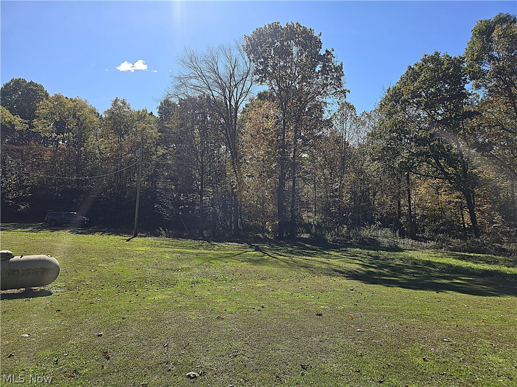 49410 Pioneer Road Negley OH 44441
