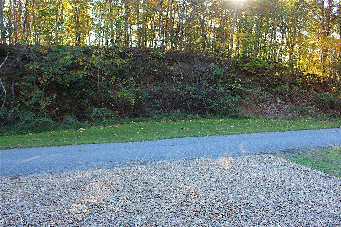 49410 Pioneer Road Negley OH 44441