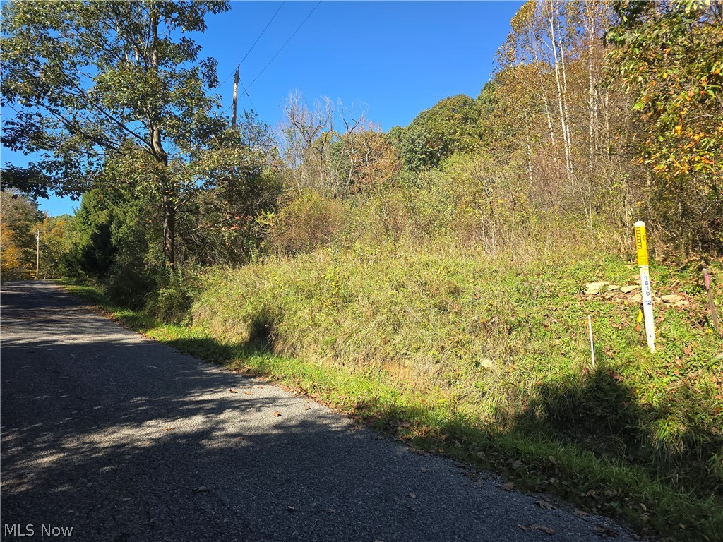 49410 Pioneer Road Negley OH 44441
