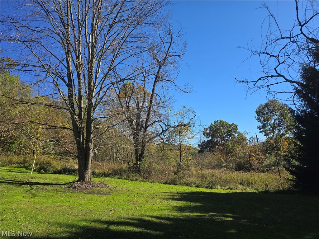 49410 Pioneer Road Negley OH 44441