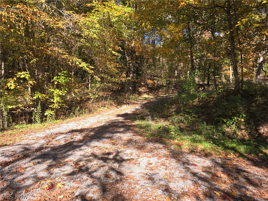49410 Pioneer Road Negley OH 44441