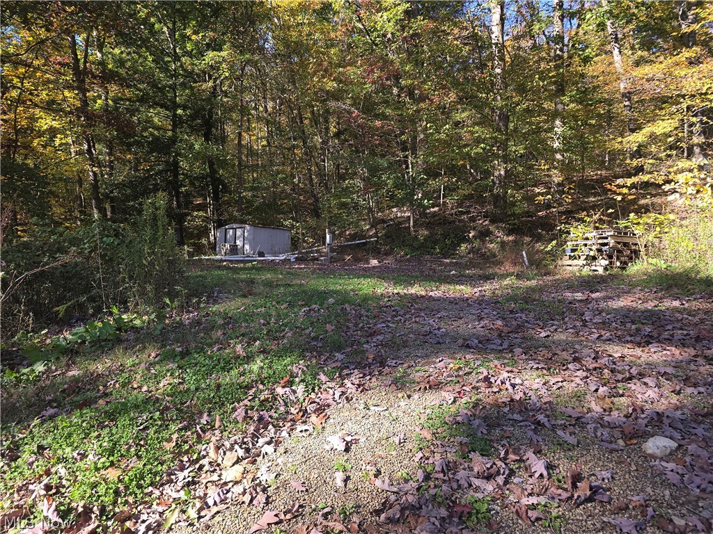 49410 Pioneer Road Negley OH 44441
