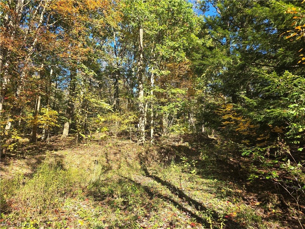 49410 Pioneer Road Negley OH 44441