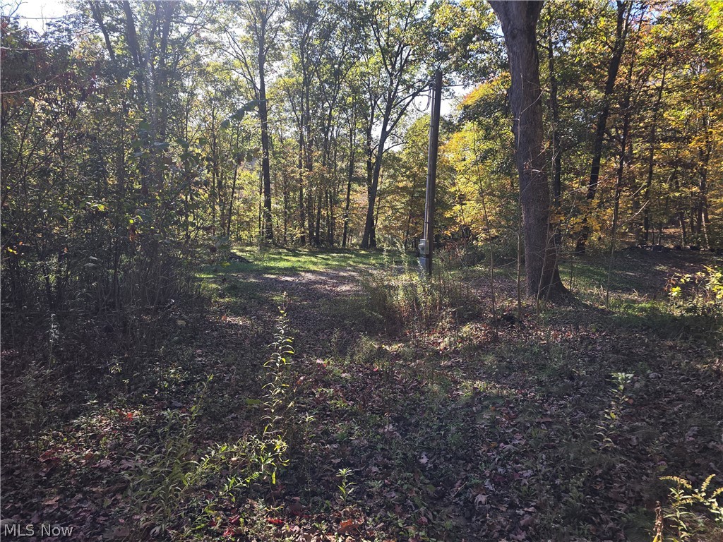 49410 Pioneer Road Negley OH 44441