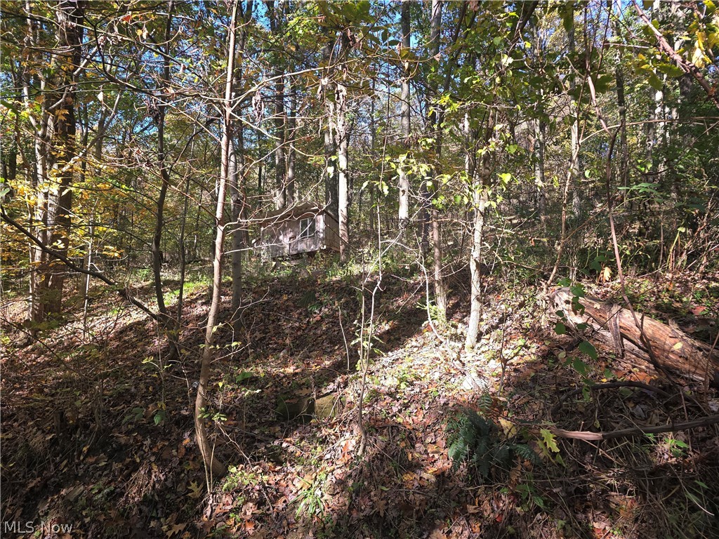 49410 Pioneer Road Negley OH 44441
