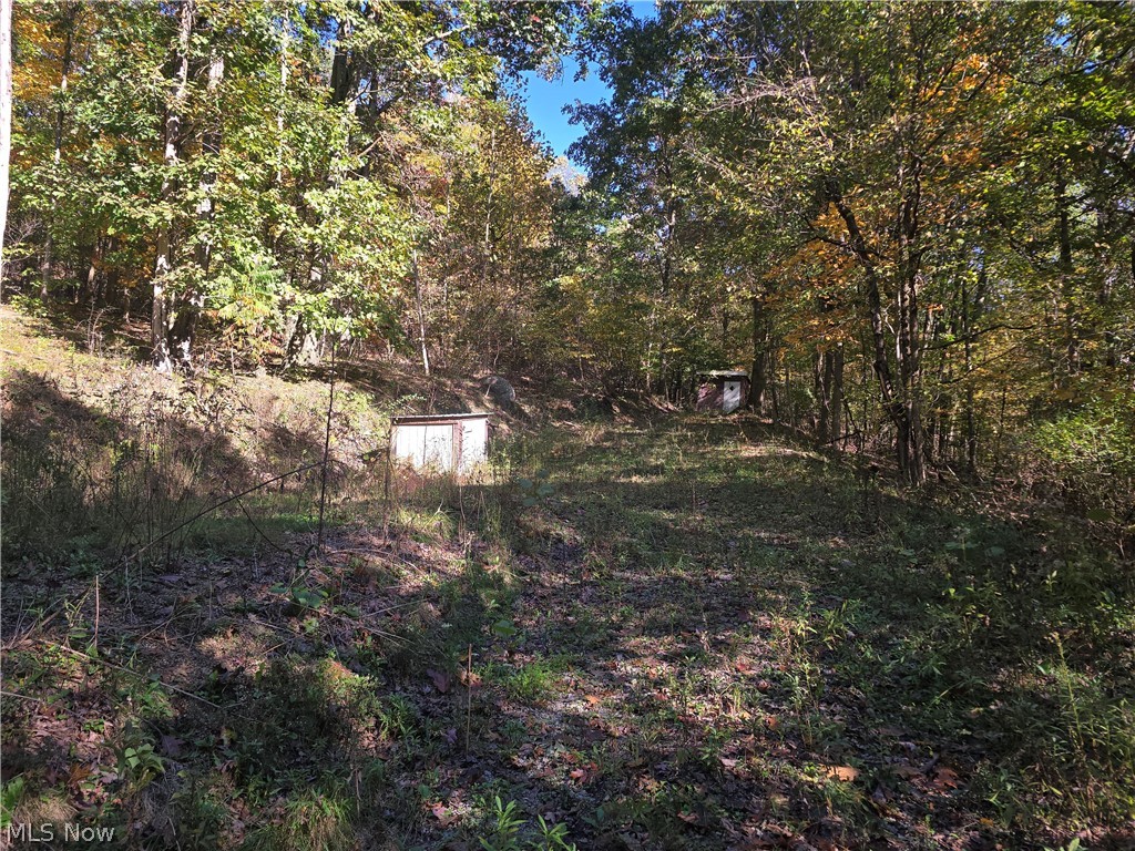 49410 Pioneer Road Negley OH 44441