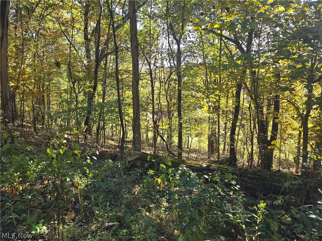 49410 Pioneer Road Negley OH 44441
