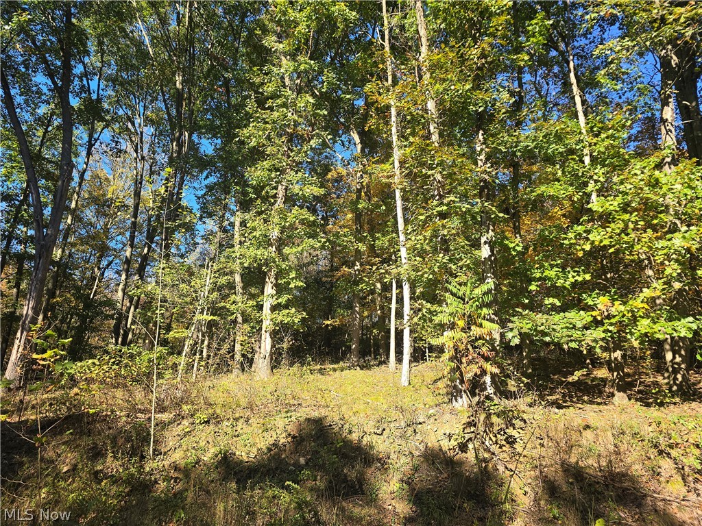 49410 Pioneer Road Negley OH 44441