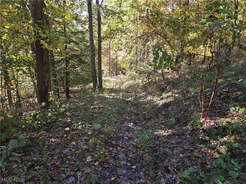 49410 Pioneer Road Negley OH 44441