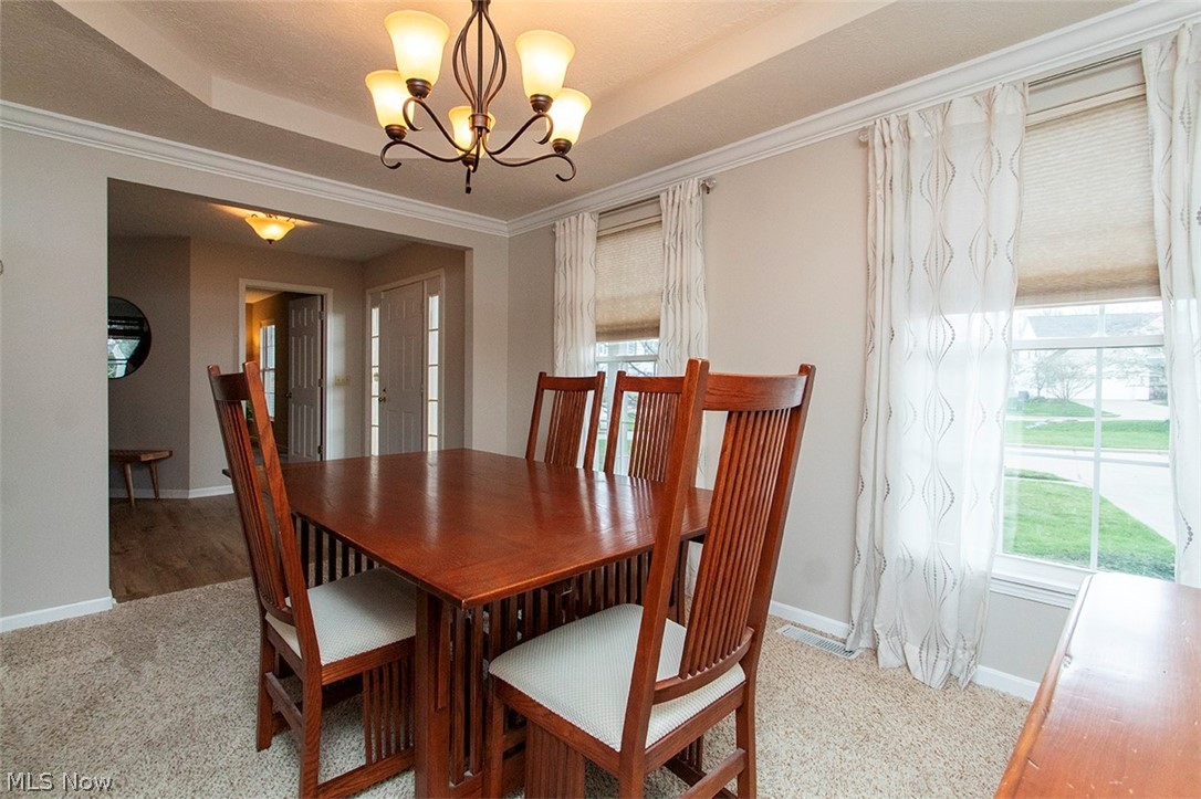 613 Lipke Court Medina OH 44256