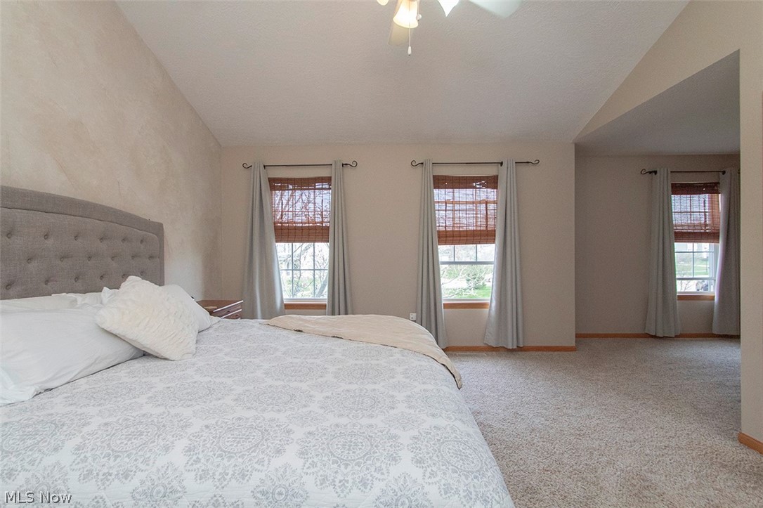 613 Lipke Court Medina OH 44256
