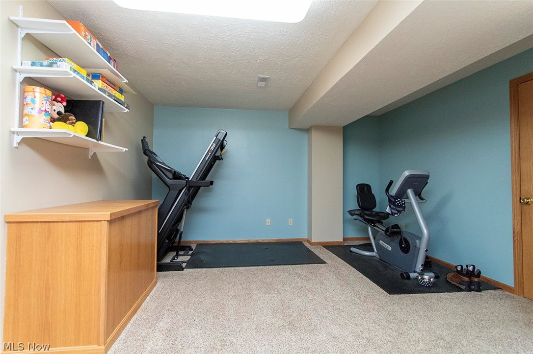 613 Lipke Court Medina OH 44256