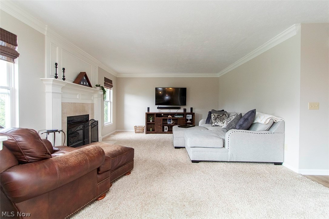 613 Lipke Court Medina OH 44256