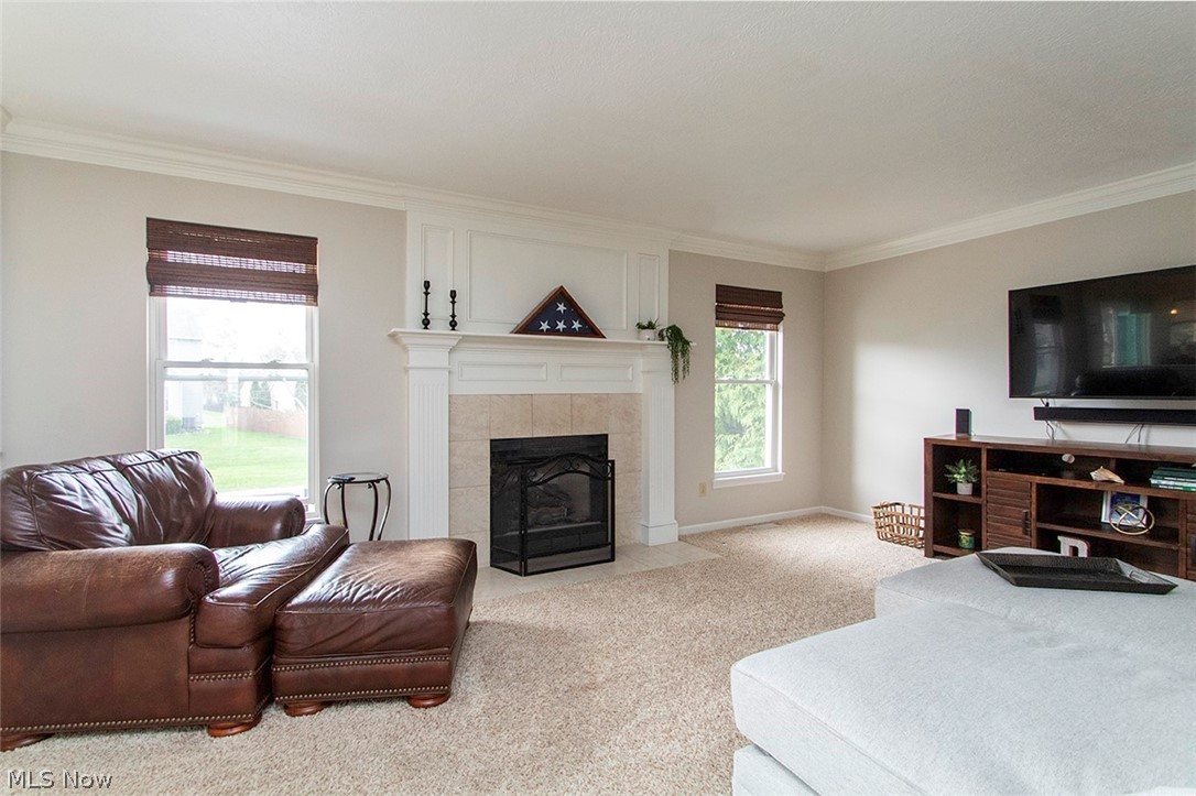613 Lipke Court Medina OH 44256