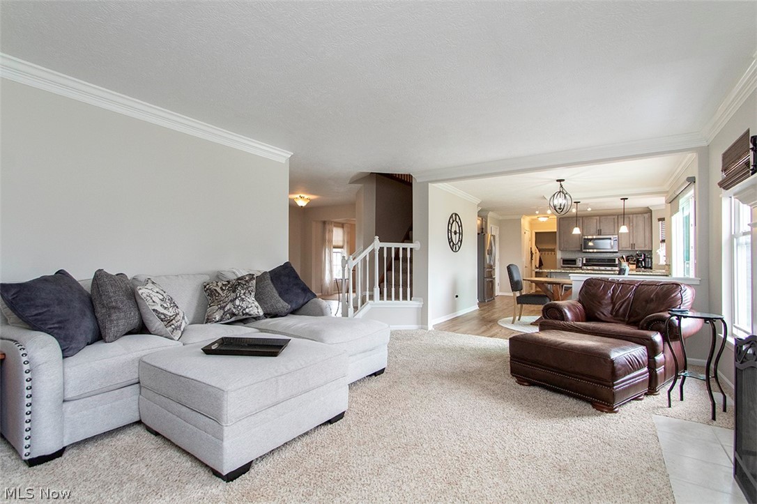 613 Lipke Court Medina OH 44256