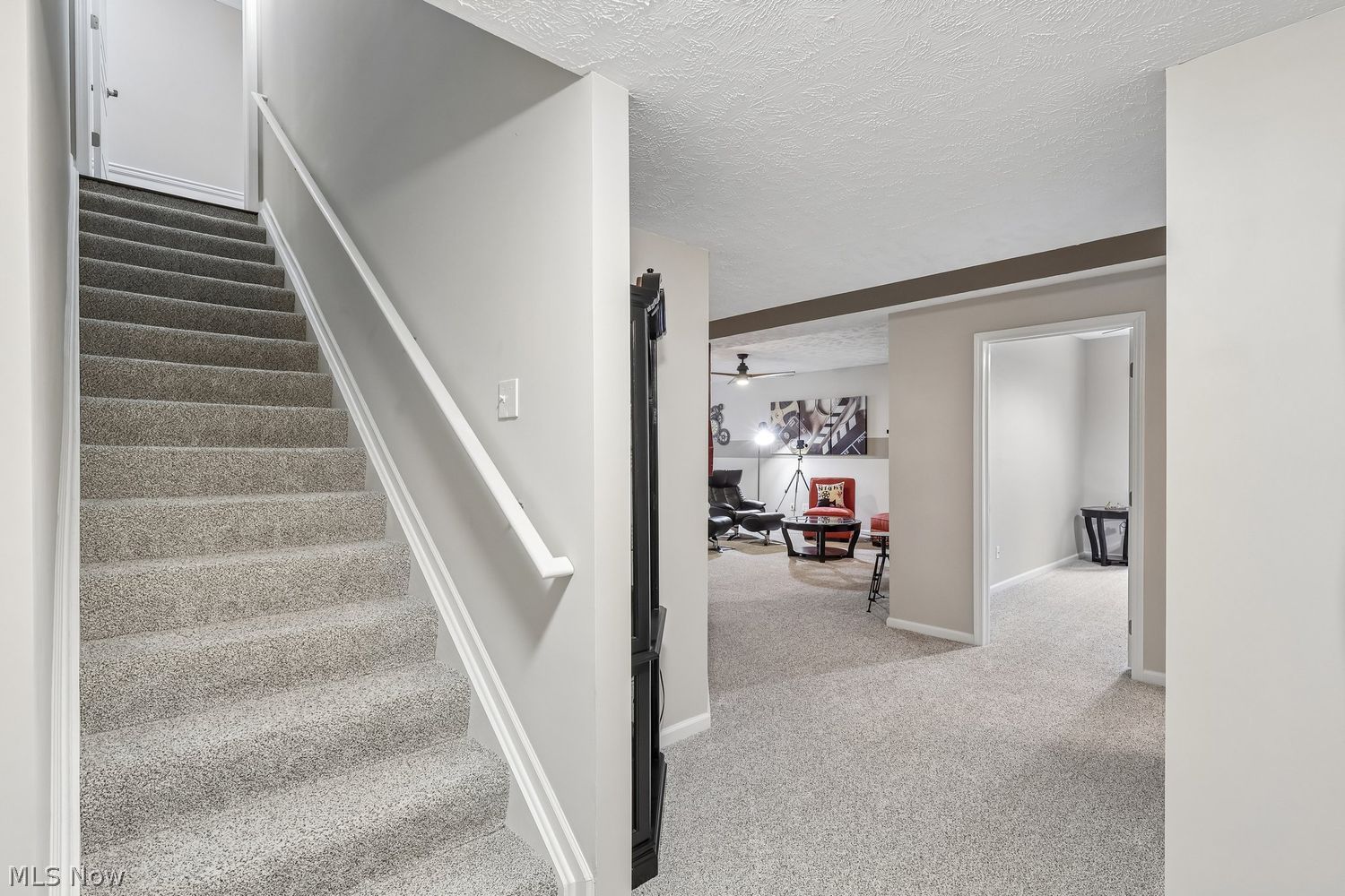 8098 Castleton Drive Mentor OH 44060