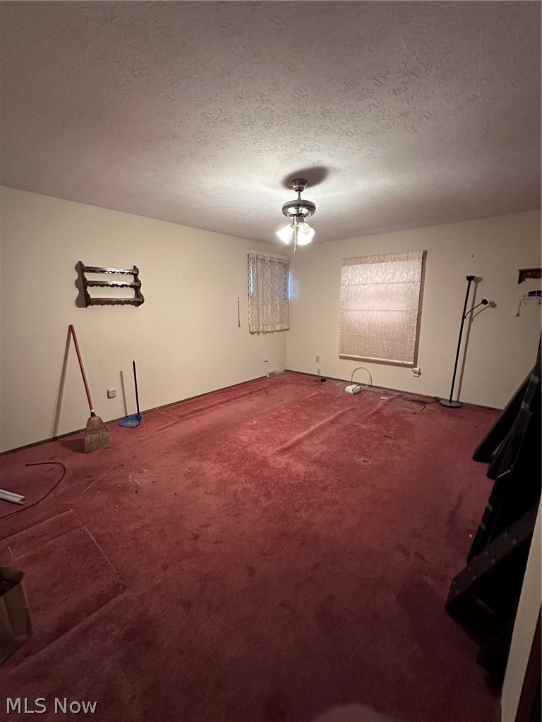 572 Buckeye Drive Sheffield Lake OH 44054