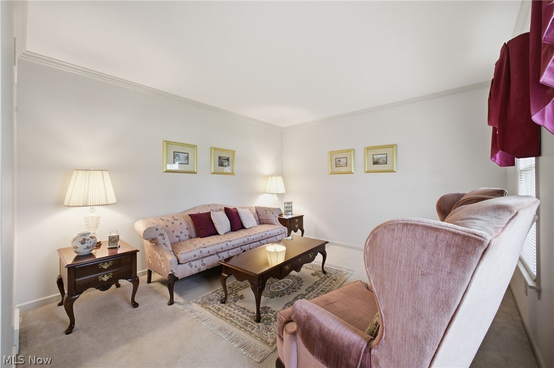 279 Jade Circle Canfield OH 44406