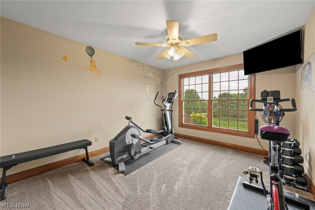 10225 Questa Court Wadsworth OH 44281