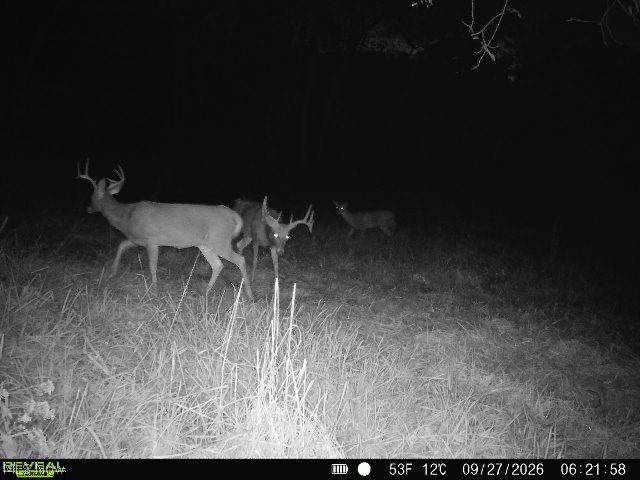 5681 Howard Price Lane Glouster OH 45732