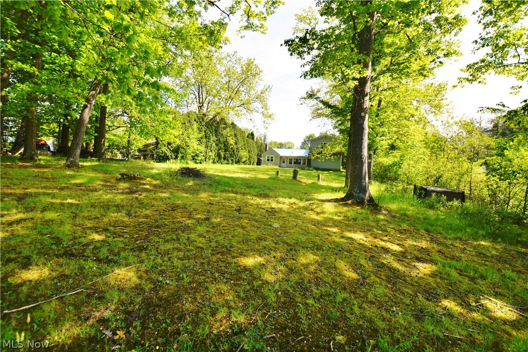 12516 Lake Drive Burton OH 44021
