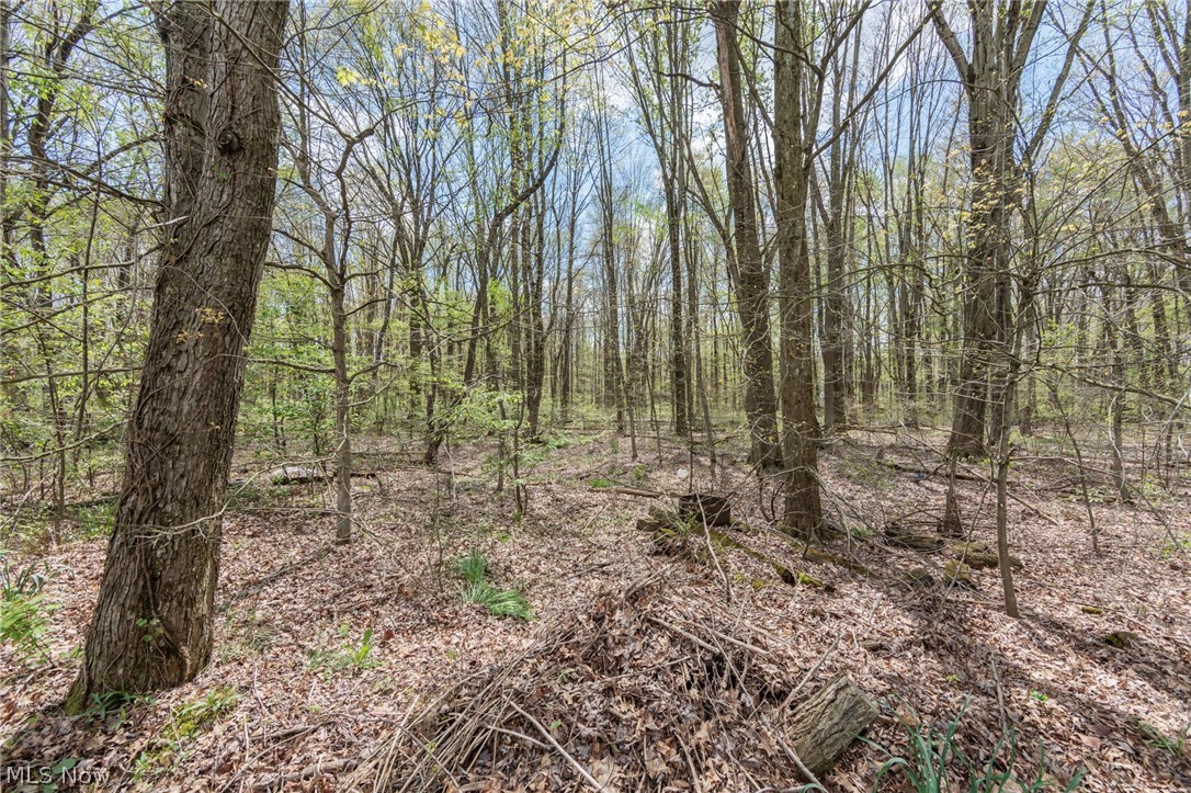 524 Arlington Boulevard Newton Falls OH 44444