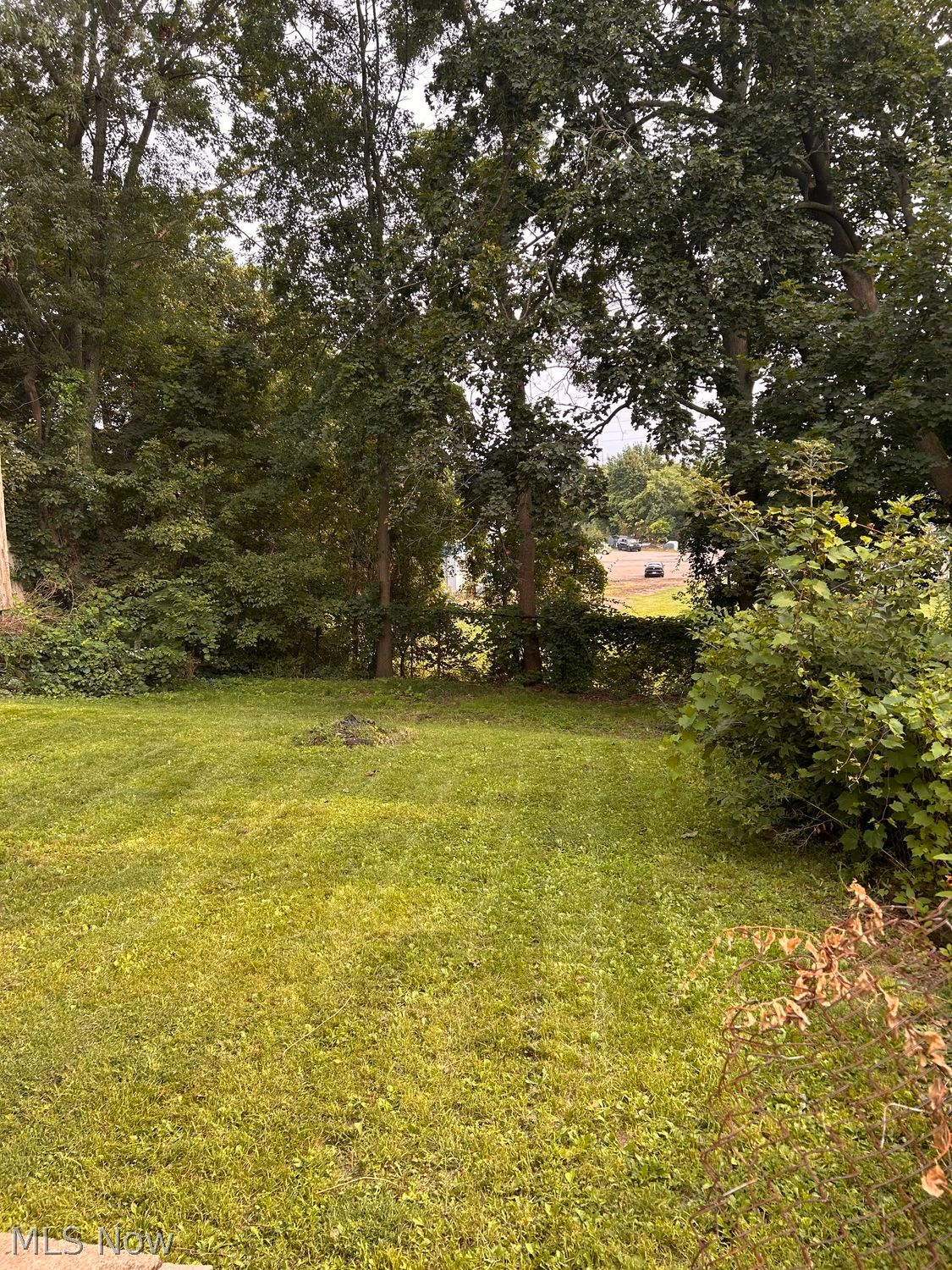 1436 Sara Avenue Akron OH 44305