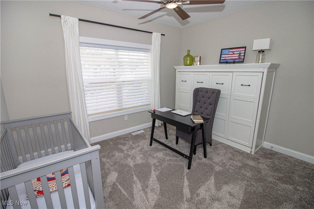 3667 Eagle Point Court Medina OH 44256