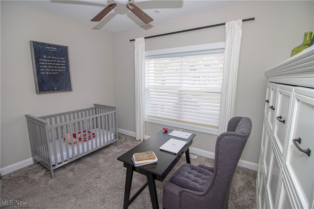 3667 Eagle Point Court Medina OH 44256