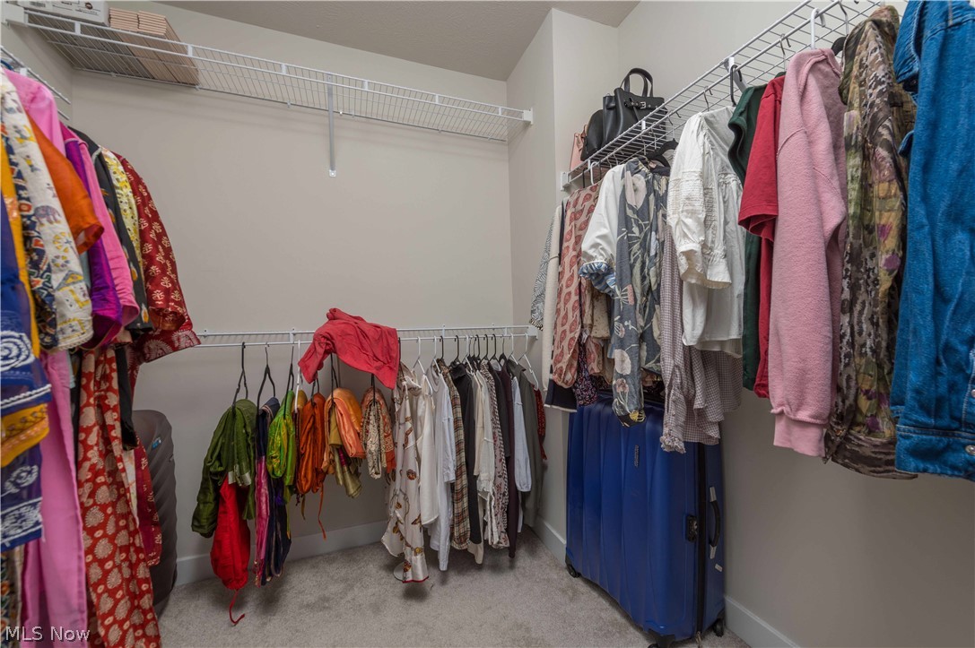 23427 Daisey Drive Columbia Station OH 44028