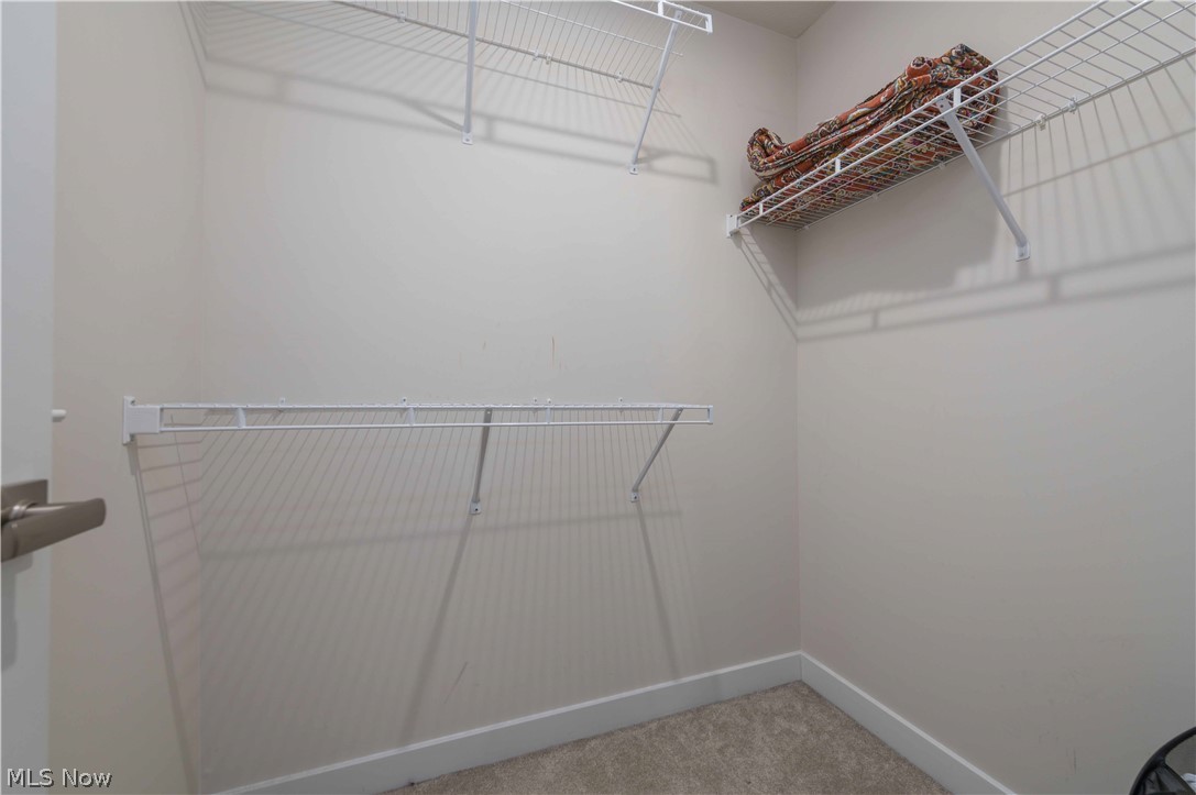 23427 Daisey Drive Columbia Station OH 44028